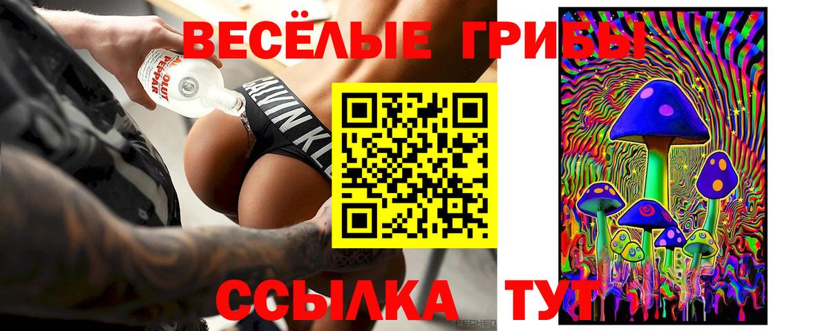 Ялуторовск  Псилоцибиновые грибы прущие грибы  Галлюциногенные грибы Psilocybine cubensis  Вход с VPN 